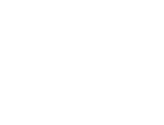 Avagdor security logo